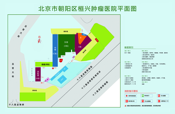 啊，好大，好痛北京市朝阳区桓兴肿瘤医院平面图